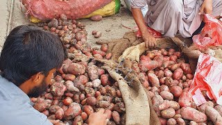 Potatoes Auction Islamabad | Aalo mandi boli Islamabad | Daily sabzi mandi update |