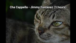 cha cappella - jimmy fontanez 3 hours ( No copyright )