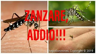 ZANZARE ADDIO!! Economico e Semplice | Fai da te - Bricolage