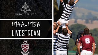 2024 Rugby - Hilton College vs Kearsney College (Etheridge Stream)