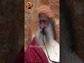 sadhguru i have all the fire you want sadhguru isha