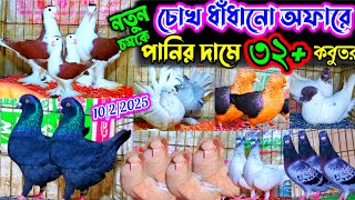 একদম পানির দামে ৩২ জোড়া কবুতর বিক্রি | ডিম বাচ্চা সহ কবুতর কিনুন খামার থেকে | pigeon price