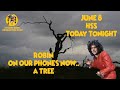 HSS Today Tonight June 8 - Robin, on our phones now... A Tree..