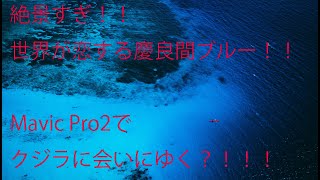 【絶景すぎ!!世界が恋する慶良間ブルー!!新型ドローンMavic Pro2と無人島へクジラ探しの旅?!】