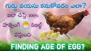 గుడ్లు వయసు కనుకోవడం ఎలా? || How to find age of Egg 🥚 || Technical Farmers Telugu || #TFT1