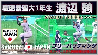 【≪2027ドラフト候補/フリーバッティング(マルチアングル)≫2023夏の甲子園優勝メンバー/侍ジャパン大学代表候補選手強化合宿1日目】2024/11/30慶應義塾大1年生・渡辺 憩(慶應義塾高)