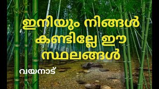 വയനാട്ടിൽ ഉറപ്പായും കണ്ടിരിക്കേണ്ട സ്ഥലങ്ങൾ || Places to visit in Wayanad || Kerala Tourism