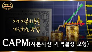 경제경영이론용어 I 자기자본비용을 계산하는 방법! CAPM에 대하여💪