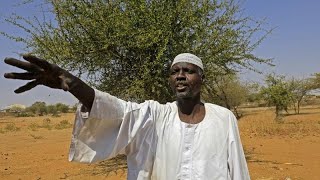 Darfur farmers live in fear of attack by Arab militiamen