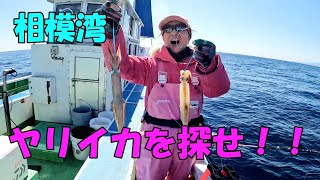 相模湾　ヤリイカを探せ！！【ヤリイカ釣り】【ブランコ仕掛け】