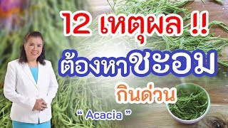 ต้องรู้ !! 12 เหตุผลที่ต้องหาชะอมมากินด่วนเพื่อสุขภาพ | Acacia | พี่ปลา Healthy Fish