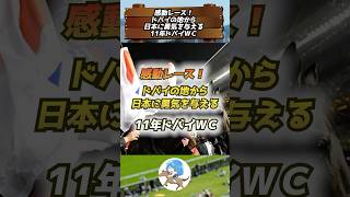 【 #競馬 】感動レース！ドバイの地から日本に勇気を与える 11年ドバイWC #shorts #vtuber #競馬のお話 #競馬女子