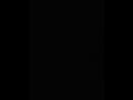 Black beatles ring tone