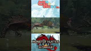 レイアとレウスのバトル【モンハン】【モンハンライズ】【サンブレイク】【Monster Hunter SunBreak】【となおとCh】#Shorts