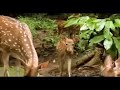 thenmala eco tourism തെന്മല എക്കോ ടൂറിസം