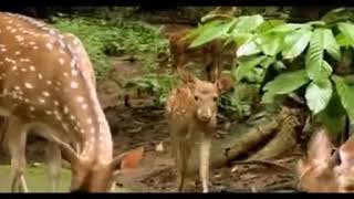 THENMALA ECO TOURISM തെന്മല എക്കോ ടൂറിസം