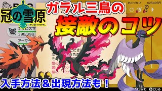 【ポケモン剣盾】ガラル三鳥！サンダー・ファイヤー・フリーザーの接敵のコツ！！！そして、入手方法＆出現方法をご紹介！！！！【ポケモン】