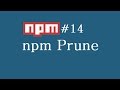 npm Tutorial for Beginners - 14 - npm Prune