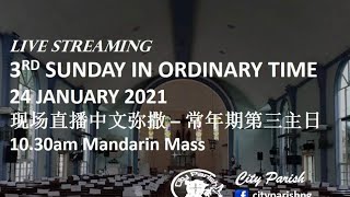 Mandarin Mass - 3rd Sunday in Ordinary Time 常年期第三主日华语弥撒