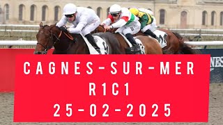 pronostic PMU Quinté du jour mardi 25 février 2025 Cagnes-sur-Mer R1C1