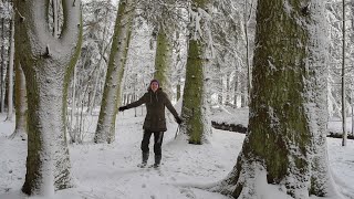 Suuremõisa park, Hiiumaa