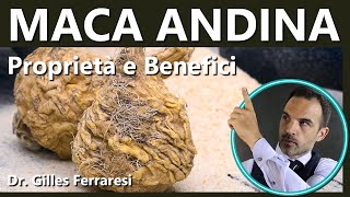 Maca | Proprietà e Benefici | Sesso, Fertilità, Menopausa, Sport | Dosi ed Effetti Collaterali