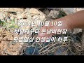 노점에서 생긴 일/텃밭작물/김장배추ㆍ무/마늘/인생살이