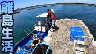 【離島生活】島のおじさんの手伝いをしたら今度は最強の撒き餌を手に入れた？！