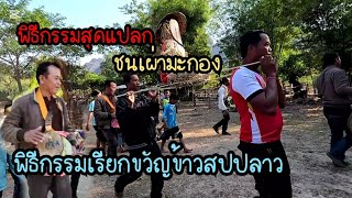 พิธีกรรมสุดแปลกชนเผ่ามะกอง//ພິທີກຳສຸດແປກຊົນເຜົ່າມະກອງ @บ่าวคําม่วนเมืองลาว