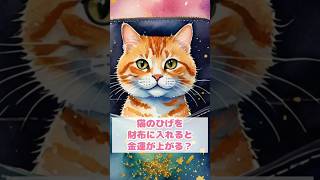 猫のひげを財布に入れると金運が上がる？ #shorts #猫 #猫雑学