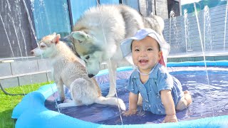 初めての噴水プールに大興奮な我が家の3兄妹が可愛過ぎました・・・