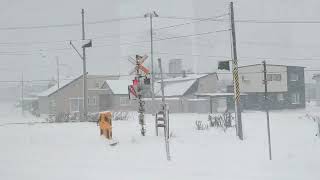 雪の中でも突っ走る！旭川から札幌まで 特急列車の車窓から。始発から終着までノンストップで旅行気分？（JR北海道 特急カムイ20号）