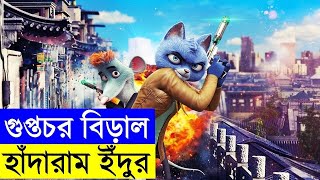 ইঁদুর ও বিড়াল কি বন্ধু  হতে পারে? Movie Explain In Bangla | Random Animation | Random Video channel