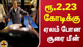 புத்தாண்டு முன்னிட்டு நடத்தப்பட்ட மீன் ஏலம்... ரூ.2.23 கோடிக்கு ஏலம் போன சூரை மீன்