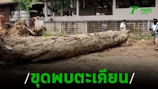 ฮือฮา! ลอกคลองพบตะเคียนอายุกว่า 100 ปี | 12-04-63 | ตะลอนข่าว