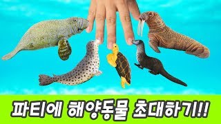 한국어ㅣ파티에 해양동물 초대하기!! 동물이름 사전, 어린이 한글공부, 해양동물 만화영화, 해양동물 이름 외우기, 컬렉타 #103ㅣ꼬꼬스토이