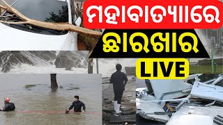 Cyclone News Live | ଛାରଖାର କଲା ମହାବାତ୍ୟା | Typhoon Hinnanmor Update | Korea Busan Devastation | Odia