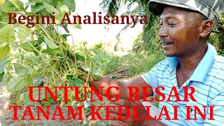 ANALISA KEUNTUNGAN MENANAM KEDELAI