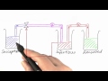 Adding Exposure - Differential Equations in Action