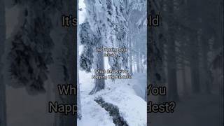Which Bed Are You Napping The Hardest