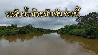 ระดับน้ำห้วยทับทัน ช่วงรอยต่อศรีสะเกษ - สุรินทร์