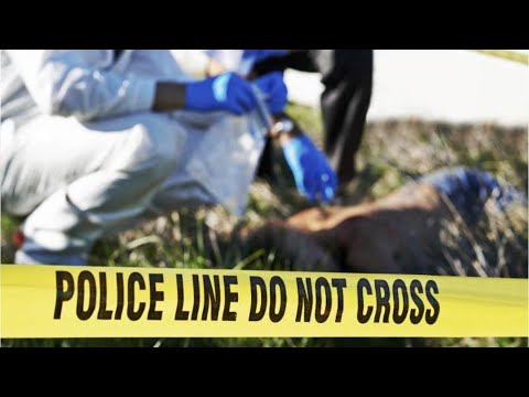 What are the 3 roles of a forensic science technician?