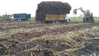 Se voltea camión cargado de caña