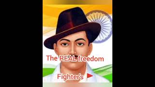 THE REAL FREEDOM FIGHTER'S || attitude status || 🔥🚩🚩