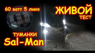 СВЕТОДИОДНЫЕ ТУМАНКИ SAL-MAN 60 ВАТТ В ЖИВУЮ НА ДОРОГЕ