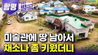 [전남 함평] 은퇴 후 고즈넉한 미술관 하나 열어 남는 땅에 채소나 좀 키웠더니｜제철 식재료로 밥 주는 미술관으로 소문난 앞치마 맨 관장님｜국내여행｜#한국기행 #방방곡곡