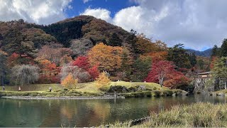 22 11 05 古峯園の紅葉