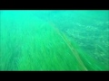 Drift Diving the Niagara River in Ontario