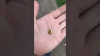 8g grams hand refined pure 24k gold