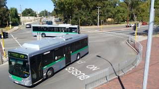 Transperth TP1916 \u0026 TP1674 Arrives @ Cannington Station